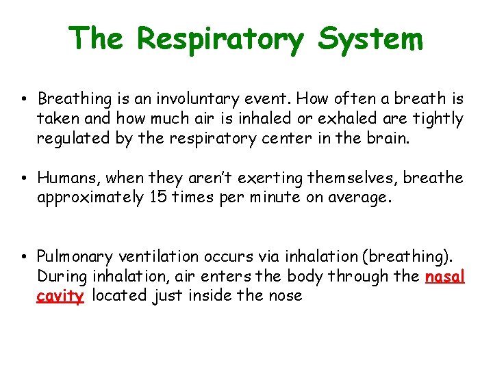 The Respiratory System • Breathing is an involuntary event. How often a breath is