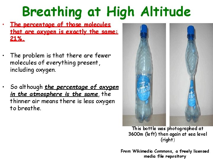 Breathing at High Altitude • The percentage of those molecules that are oxygen is