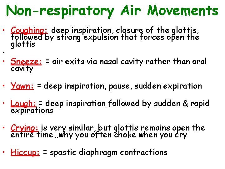 Non-respiratory Air Movements • Coughing: deep inspiration, closure of the glottis, followed by strong