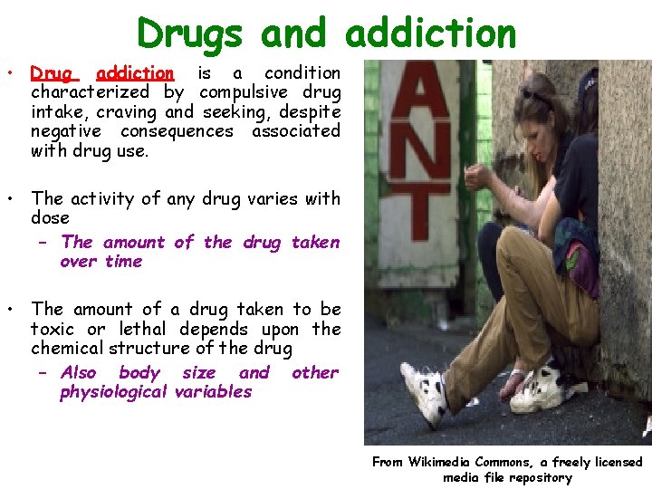 Drugs and addiction • Drug addiction is a condition characterized by compulsive drug intake,