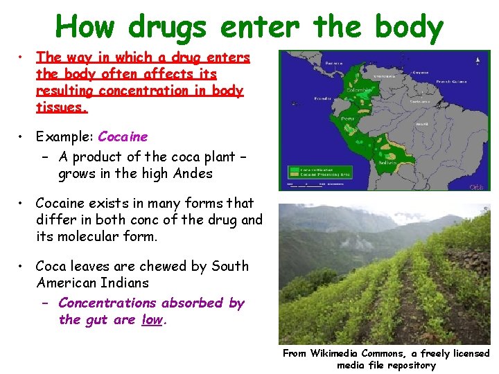 How drugs enter the body • The way in which a drug enters the