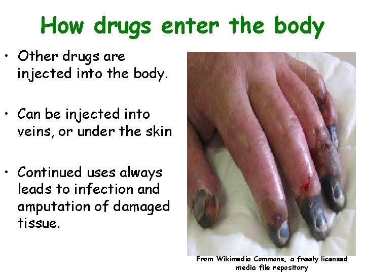 How drugs enter the body • Other drugs are injected into the body. •