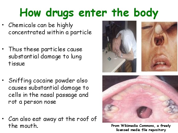 How drugs enter the body • Chemicals can be highly concentrated within a particle