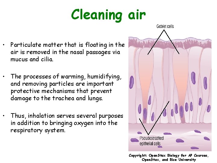 Cleaning air • Particulate matter that is floating in the air is removed in