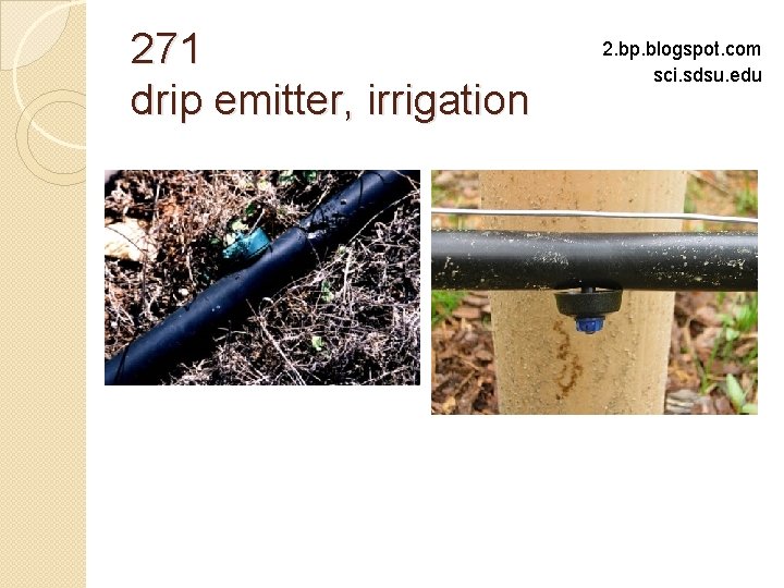 271 drip emitter, irrigation 2. bp. blogspot. com sci. sdsu. edu 
