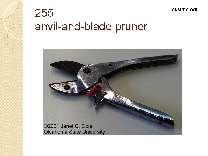 255 anvil-and-blade pruner okstate. edu 