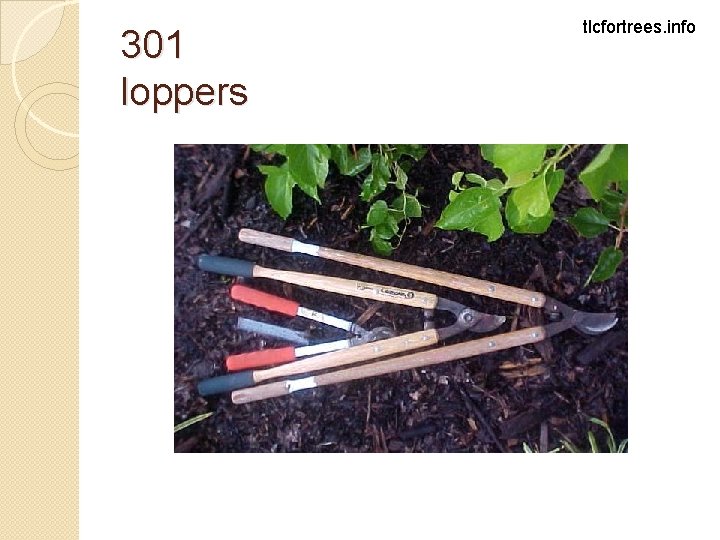 301 loppers tlcfortrees. info 