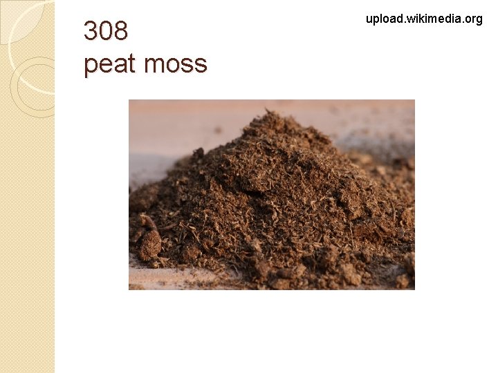 308 peat moss upload. wikimedia. org 