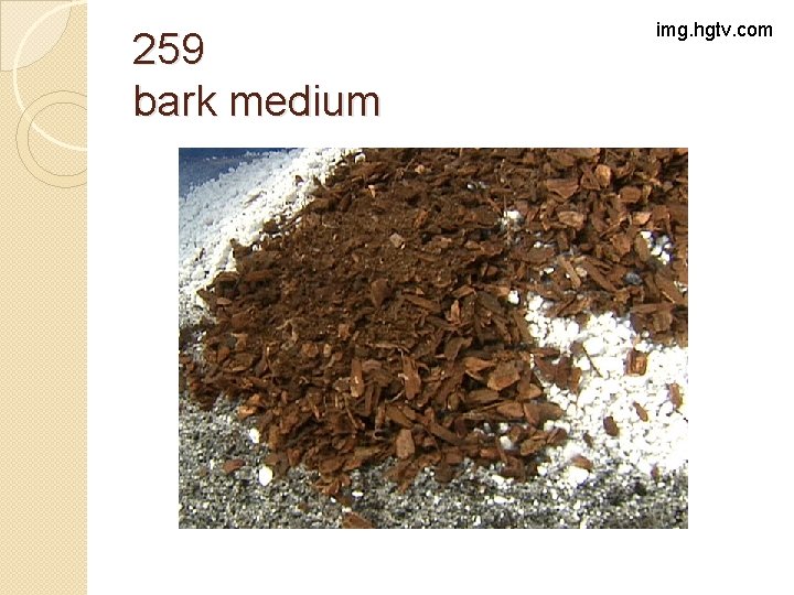 259 bark medium img. hgtv. com 