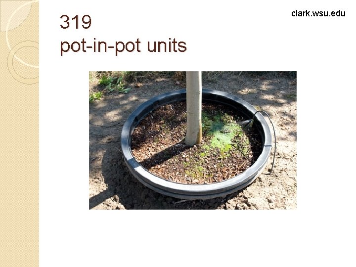 319 pot-in-pot units clark. wsu. edu 