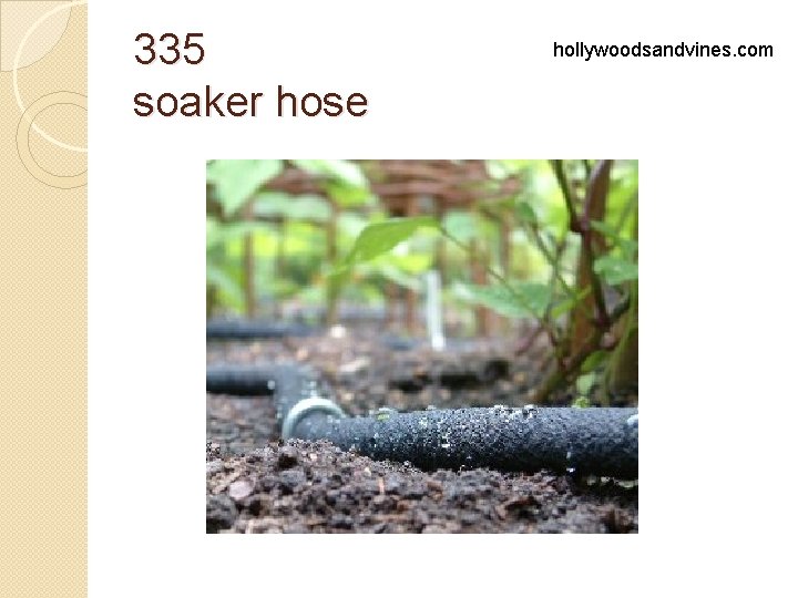 335 soaker hose hollywoodsandvines. com 
