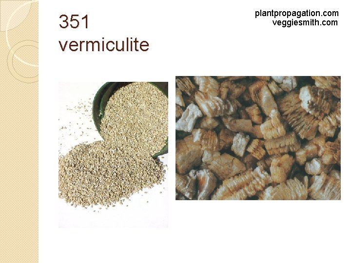 351 vermiculite plantpropagation. com veggiesmith. com 