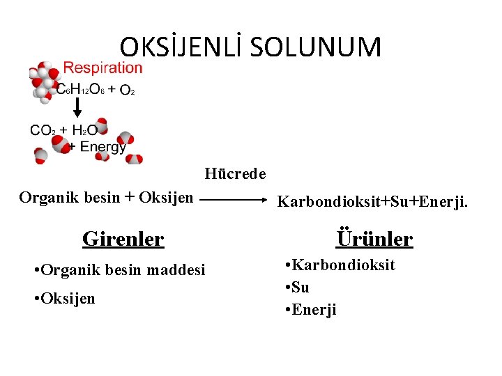 OKSİJENLİ SOLUNUM Hücrede Organik besin + Oksijen Girenler • Organik besin maddesi • Oksijen