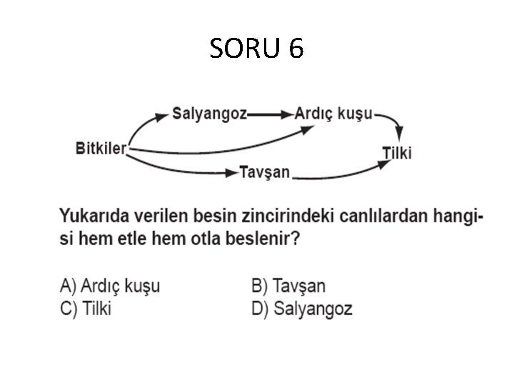 SORU 6 