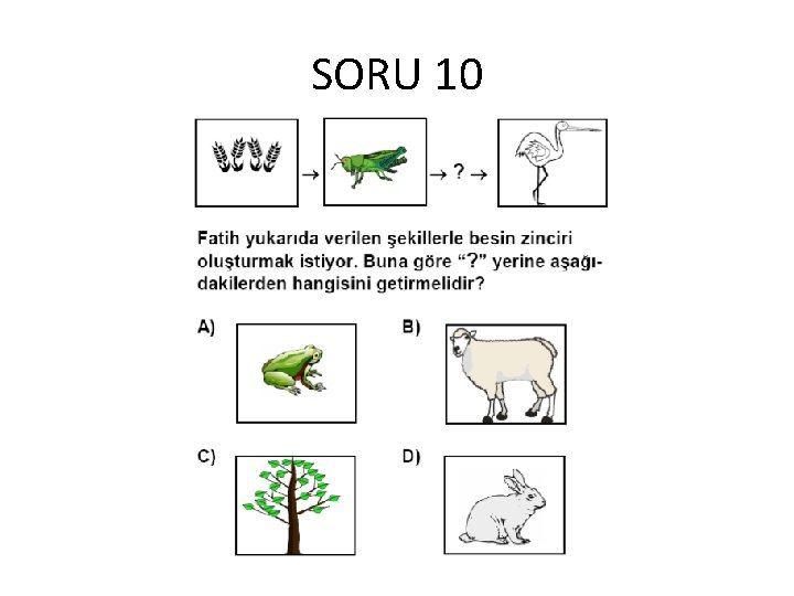 SORU 10 