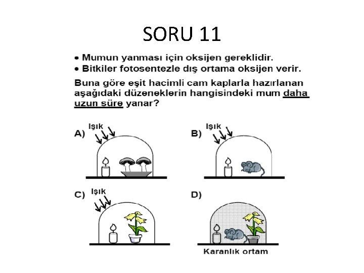 SORU 11 