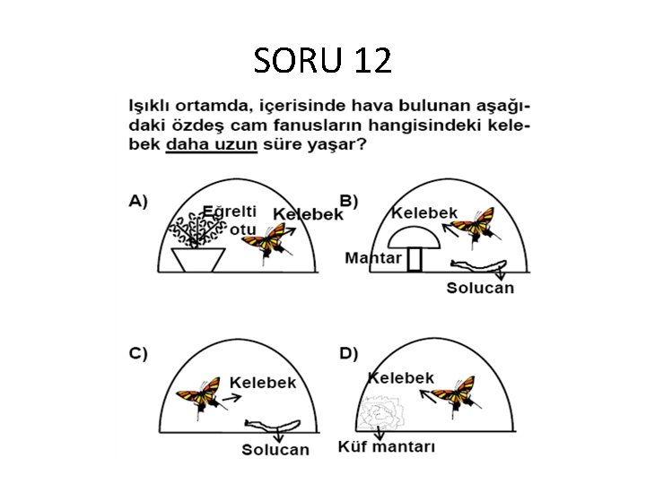 SORU 12 