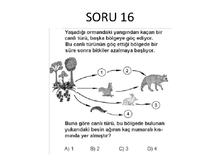 SORU 16 