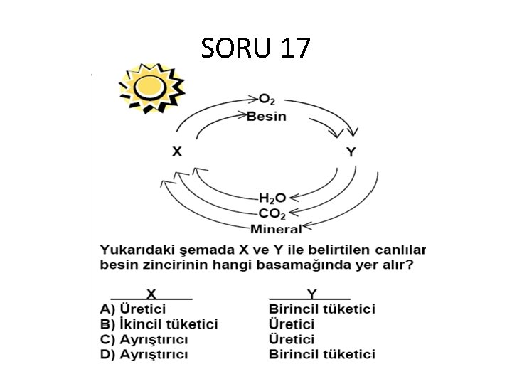 SORU 17 