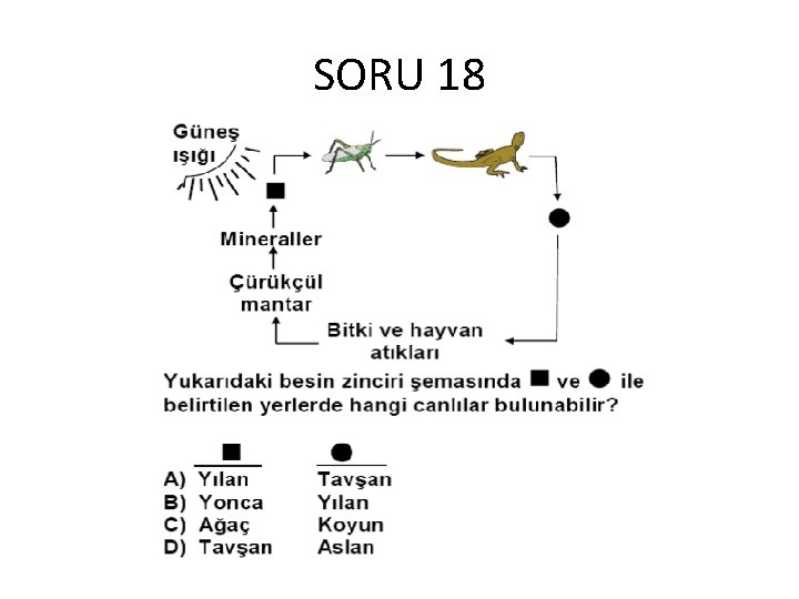 SORU 18 