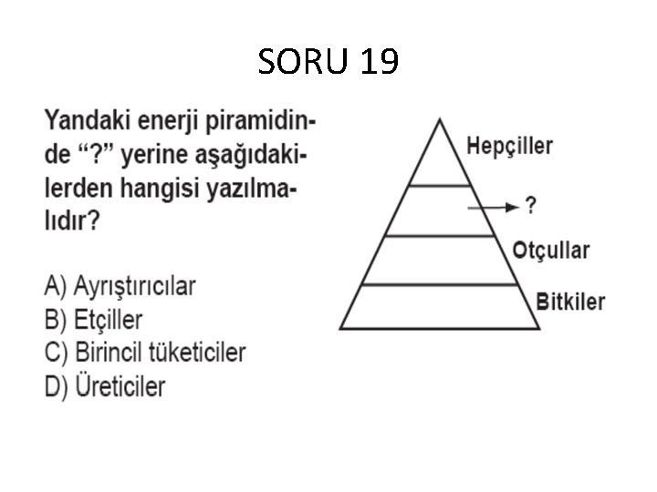 SORU 19 