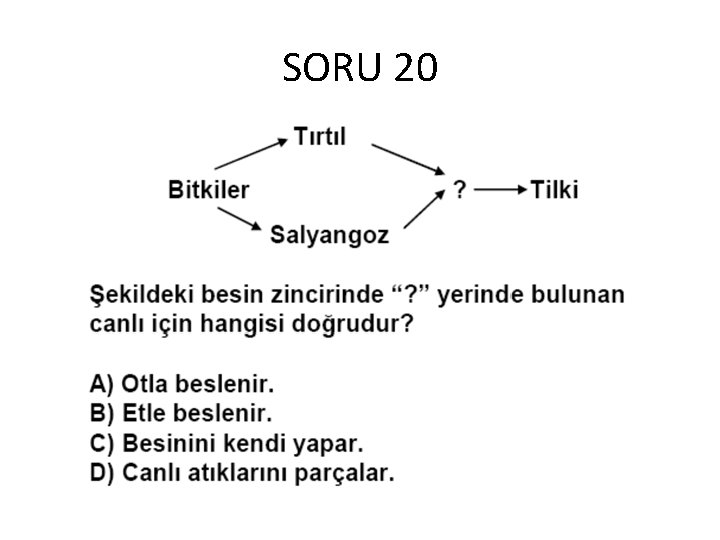 SORU 20 