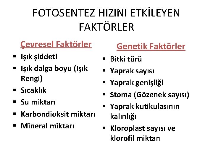 FOTOSENTEZ HIZINI ETKİLEYEN FAKTÖRLER Çevresel Faktörler § Işık şiddeti § Işık dalga boyu (Işık