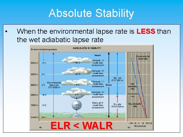 Absolute Stability • When the environmental lapse rate is LESS than the wet adiabatic
