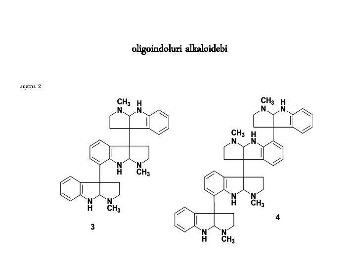 oligoindoluri alkaloidebi sqema 2 