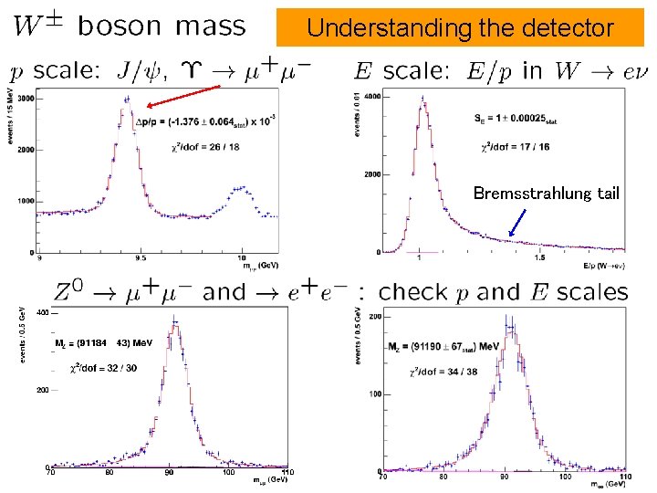 Understanding the detector Bremsstrahlung tail 