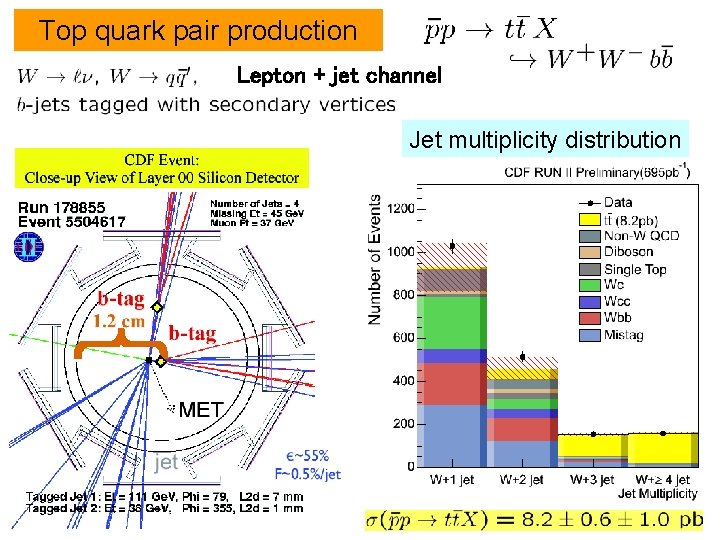 Top quark pair production Lepton + jet channel Jet multiplicity distribution 