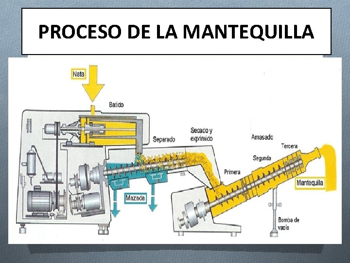 PROCESO DE LA MANTEQUILLA 