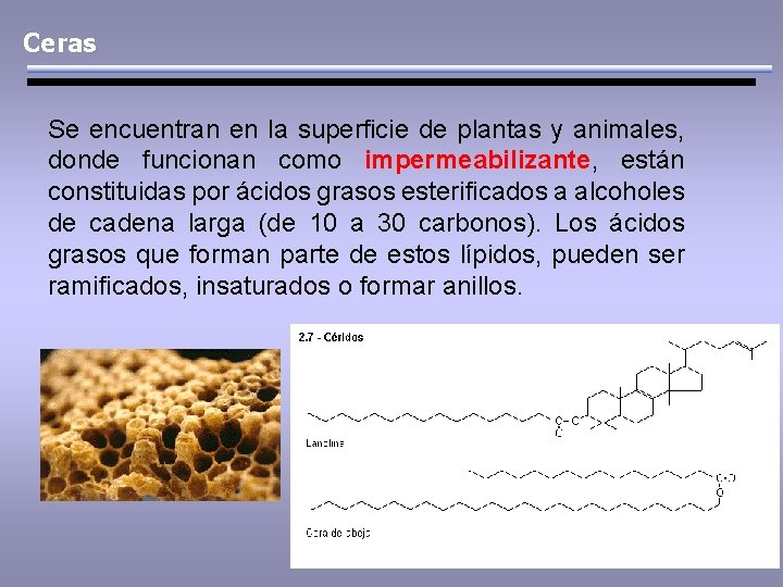 Ceras Se encuentran en la superficie de plantas y animales, donde funcionan como impermeabilizante,