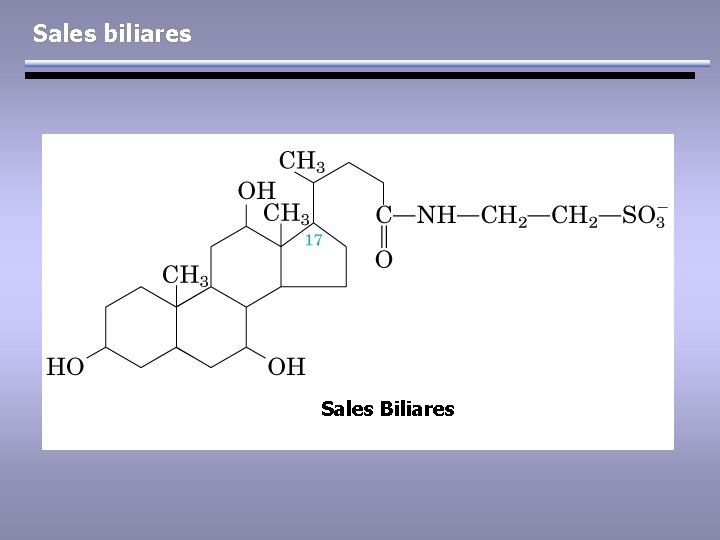 Sales biliares Sales Biliares 