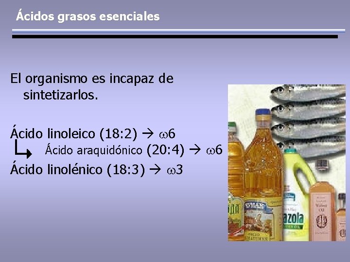 Ácidos grasos esenciales El organismo es incapaz de sintetizarlos. Ácido linoleico (18: 2) w