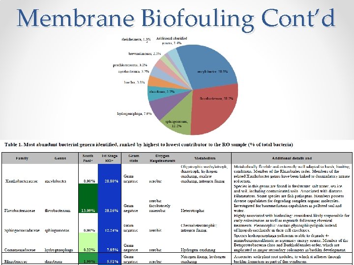 Membrane Biofouling Cont’d 