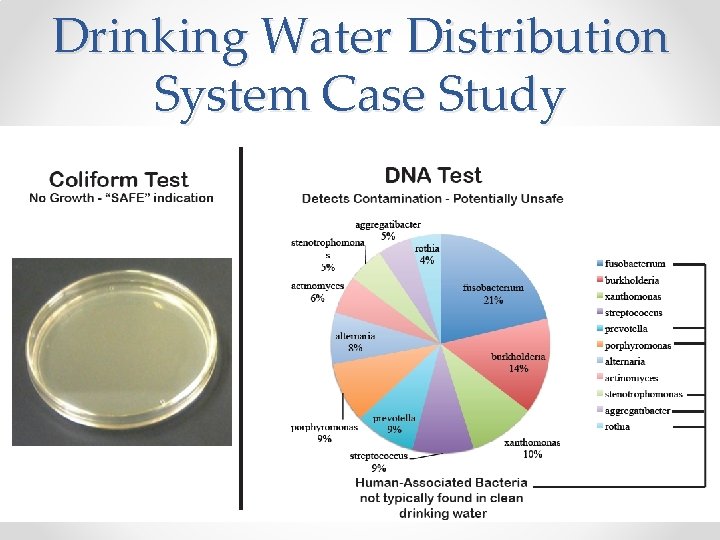 Drinking Water Distribution System Case Study 