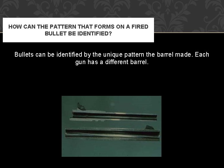 BALLISTICS AND BULLET MATCHING THREE COMPONENTS OF BALLISTICS