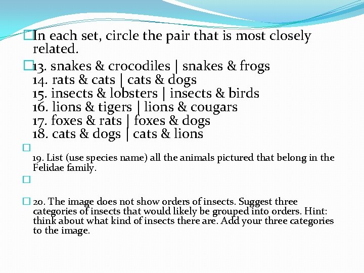 �In each set, circle the pair that is most closely related. � 13. snakes