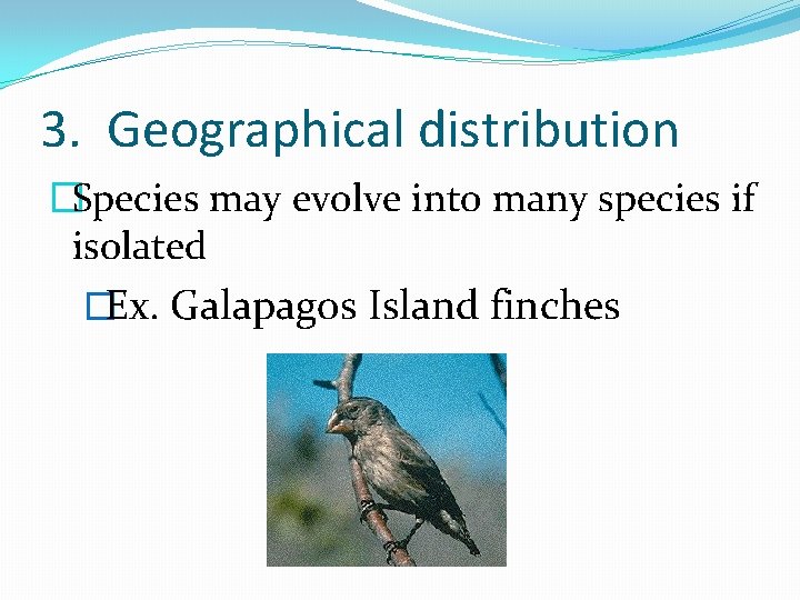 3. Geographical distribution �Species may evolve into many species if isolated �Ex. Galapagos Island