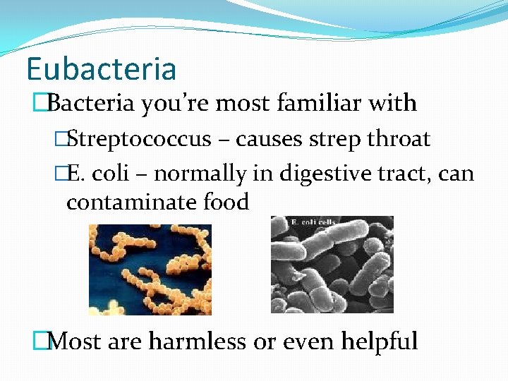 Eubacteria �Bacteria you’re most familiar with �Streptococcus – causes strep throat �E. coli –