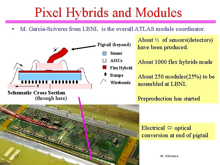 Pixel Hybrids and Modules • M. Garcia-Sciveres from LBNL is the overall ATLAS module