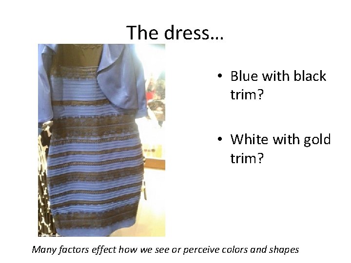 The dress… • Blue with black trim? • White with gold trim? Many factors