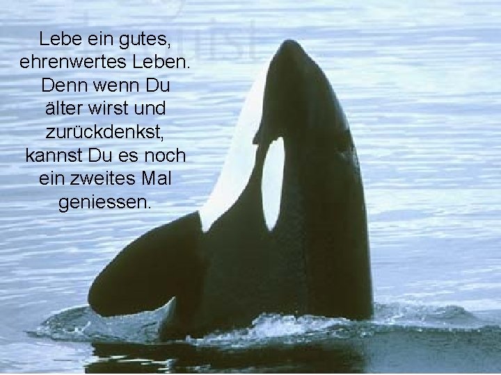 Lebe ein gutes, ehrenwertes Leben. Denn wenn Du älter wirst und zurückdenkst, kannst Du