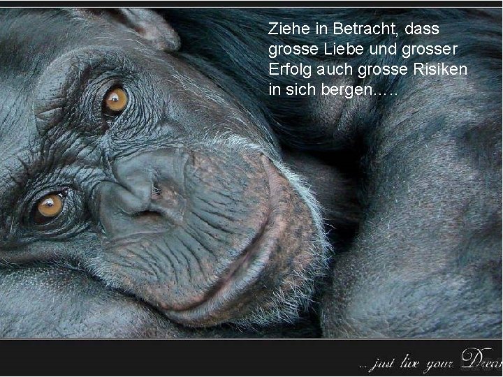 Ziehe in Betracht, dass grosse Liebe und grosser Erfolg auch grosse Risiken in sich