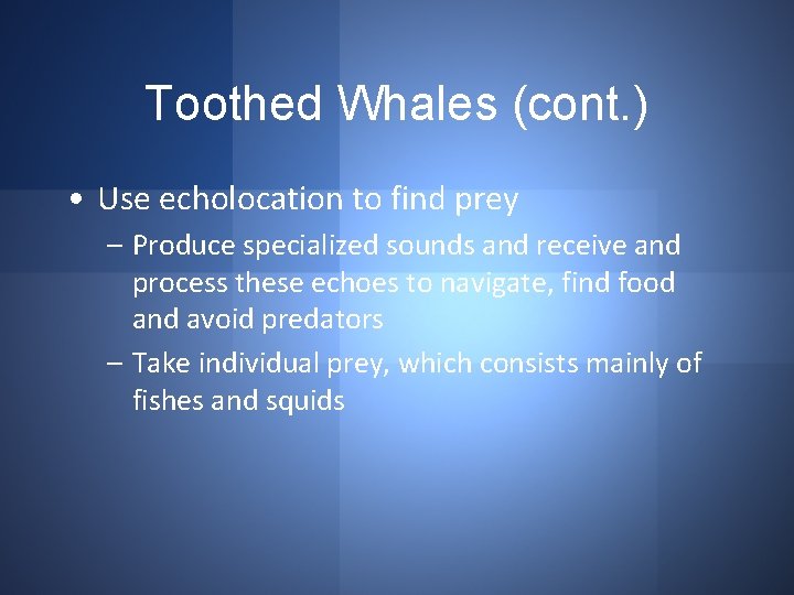 Toothed Whales (cont. ) • Use echolocation to find prey – Produce specialized sounds
