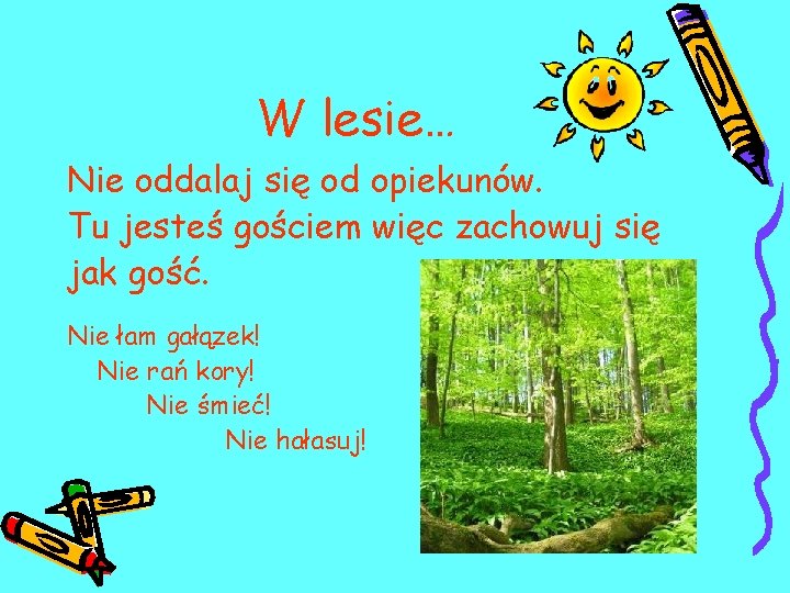 W lesie… Nie oddalaj się od opiekunów. Tu jesteś gościem więc zachowuj się jak