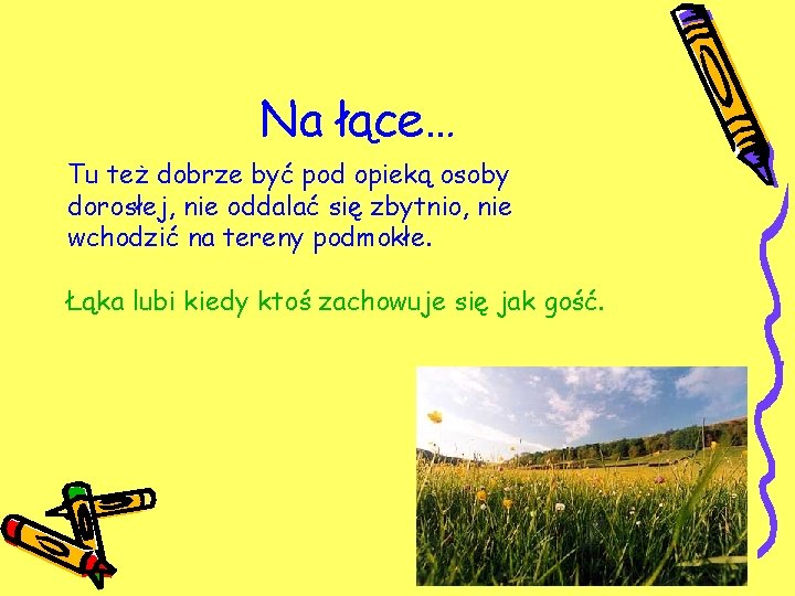 Na łące… Tu też dobrze być pod opieką osoby dorosłej, nie oddalać się zbytnio,