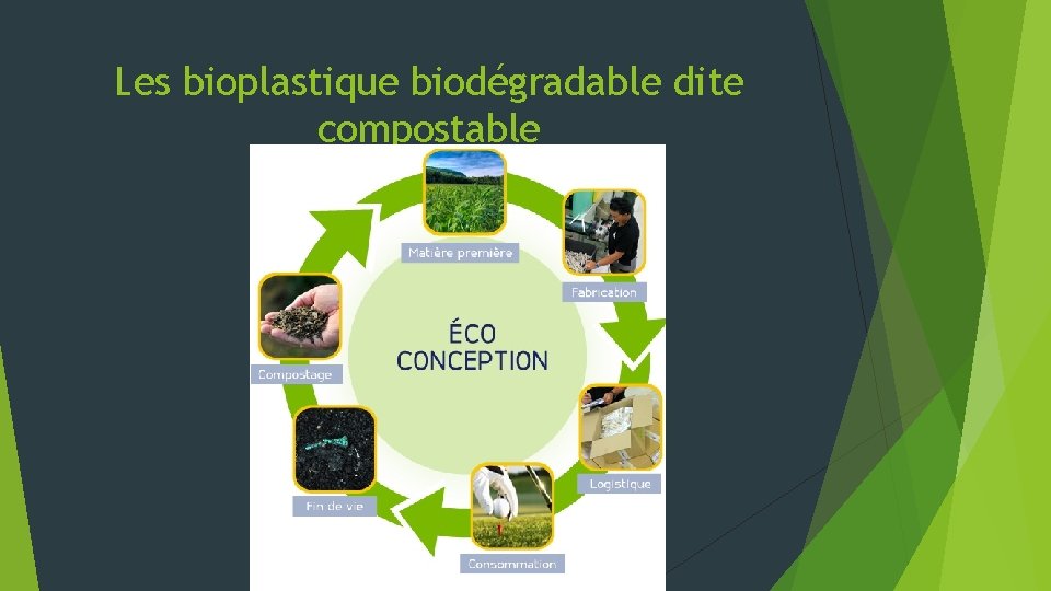 Les bioplastique biodégradable dite compostable 