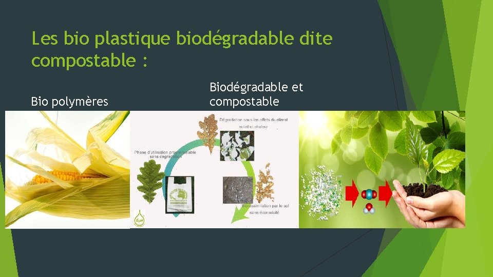 Les bio plastique biodégradable dite compostable : Bio polymères Biodégradable et compostable 
